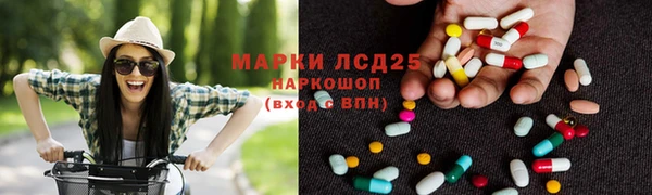 сатива Алзамай