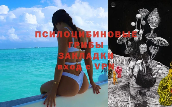 сатива Алзамай