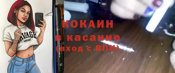 сатива Алзамай