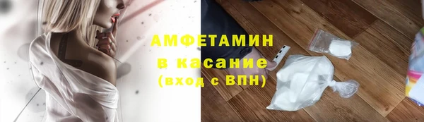 сатива Алзамай