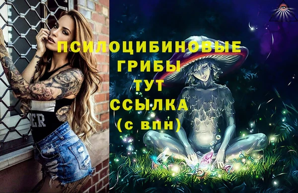 сатива Алзамай