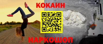 крисы Славгород