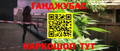 крисы Славгород