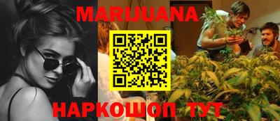 крисы Славгород