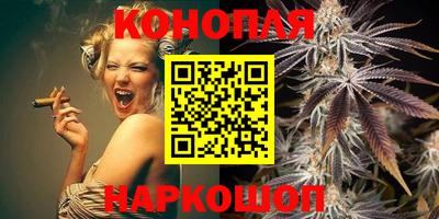 крисы Славгород