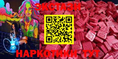 крисы Славгород