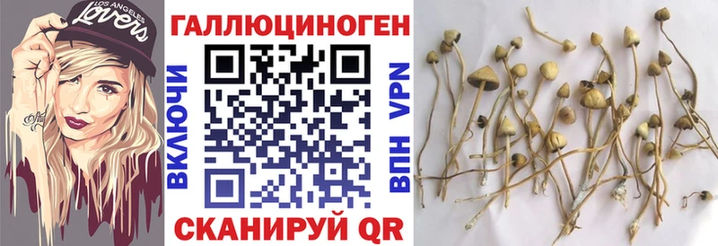 hydra сайт  Алексин  Галлюциногенные грибы прущие грибы 