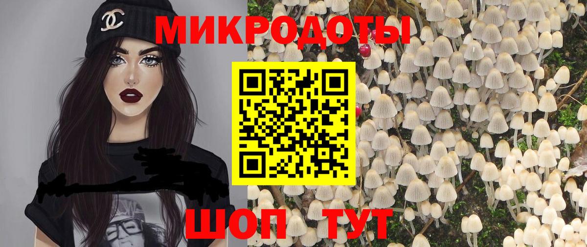 Псилоцибиновые грибы GOLDEN TEACHER Алексин