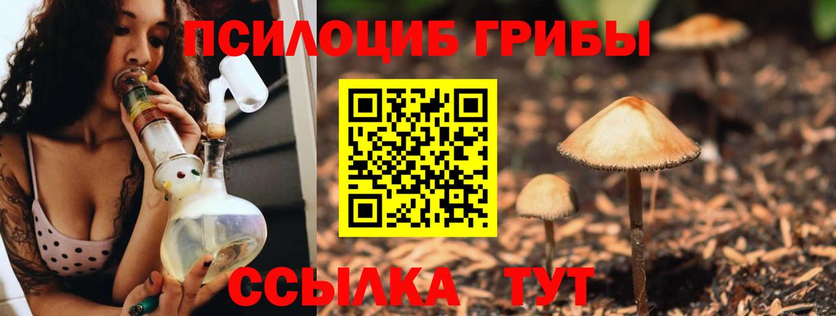 Псилоцибиновые грибы прущие грибы Алексин