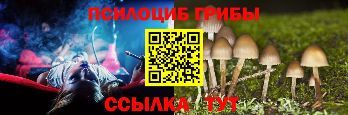 Псилоцибиновые грибы ЛСД  Псилоцибиновые грибы прущие грибы  Алексин  Вход с VPN 