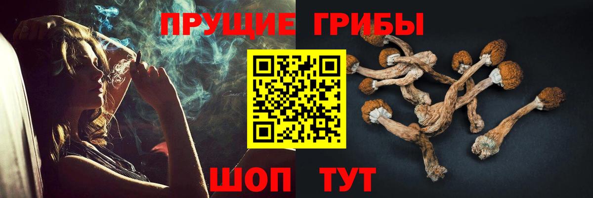 Псилоцибиновые грибы Psilocybe  Вход с VPN  Псилоцибиновые грибы MAGIC MUSHROOMS  Алексин 